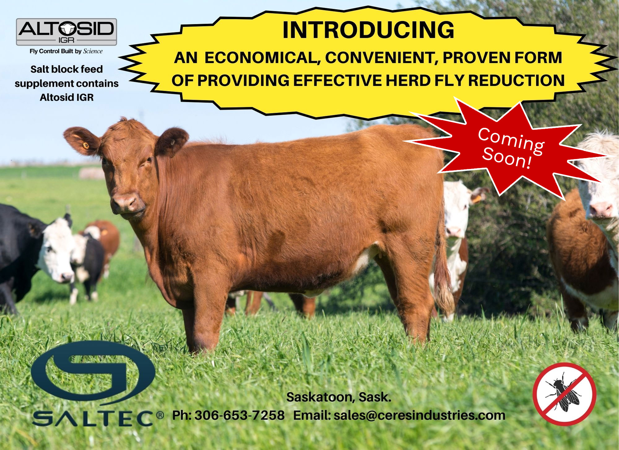 Altosid IGR: Fly Control Built by Science