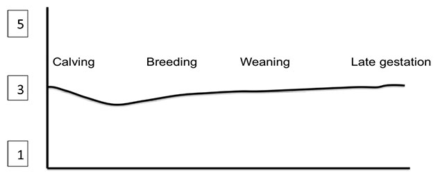 Body Condition Scoring - Theoretical BCS Curve