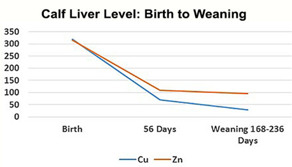 Ceres Industries - Calf Liver Level: Birth to Weaning