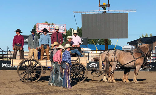 Ceres Industries is a proud supporter of the Hardgrass Bronc Match.