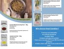 great canadian dog food brochure