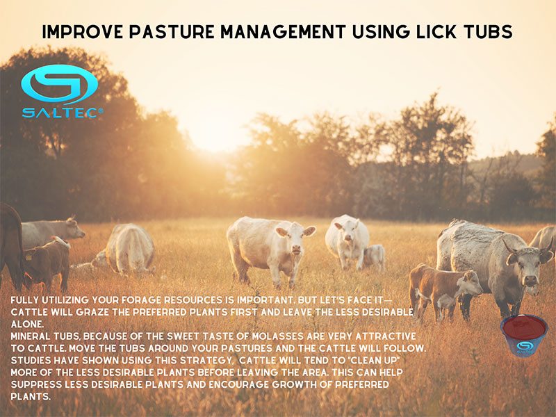 Ceres Industries - Improve Pasture Management Using Lick Tubs